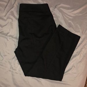 Loft Petite Straight Leg Pants
